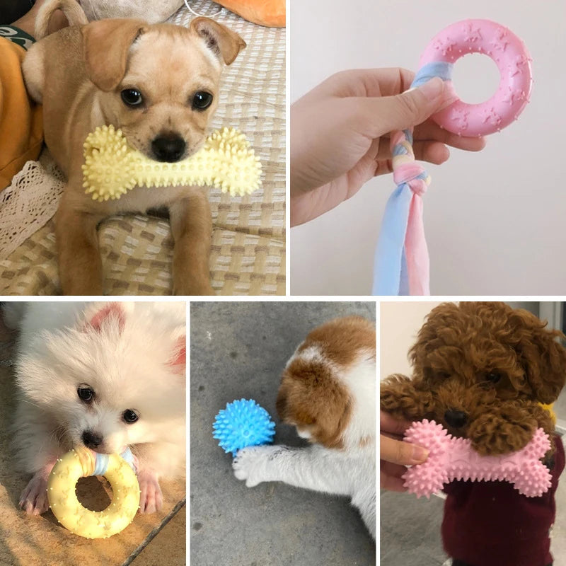 Jouets pour petits chiens à mâcher avec nœud TPR, résistant aux morsures, nettoyage des dents molaires, fournitures d'entraînement pour chiens, accessoires interactifs
