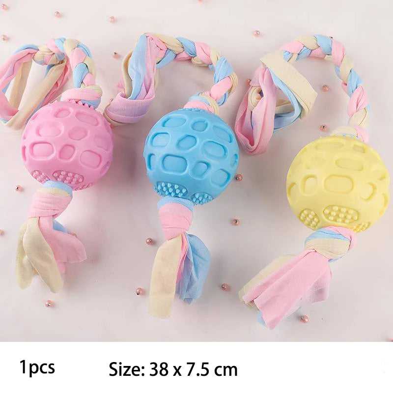 Jouets pour petits chiens à mâcher avec nœud TPR, résistant aux morsures, nettoyage des dents molaires, fournitures d'entraînement pour chiens, accessoires interactifs