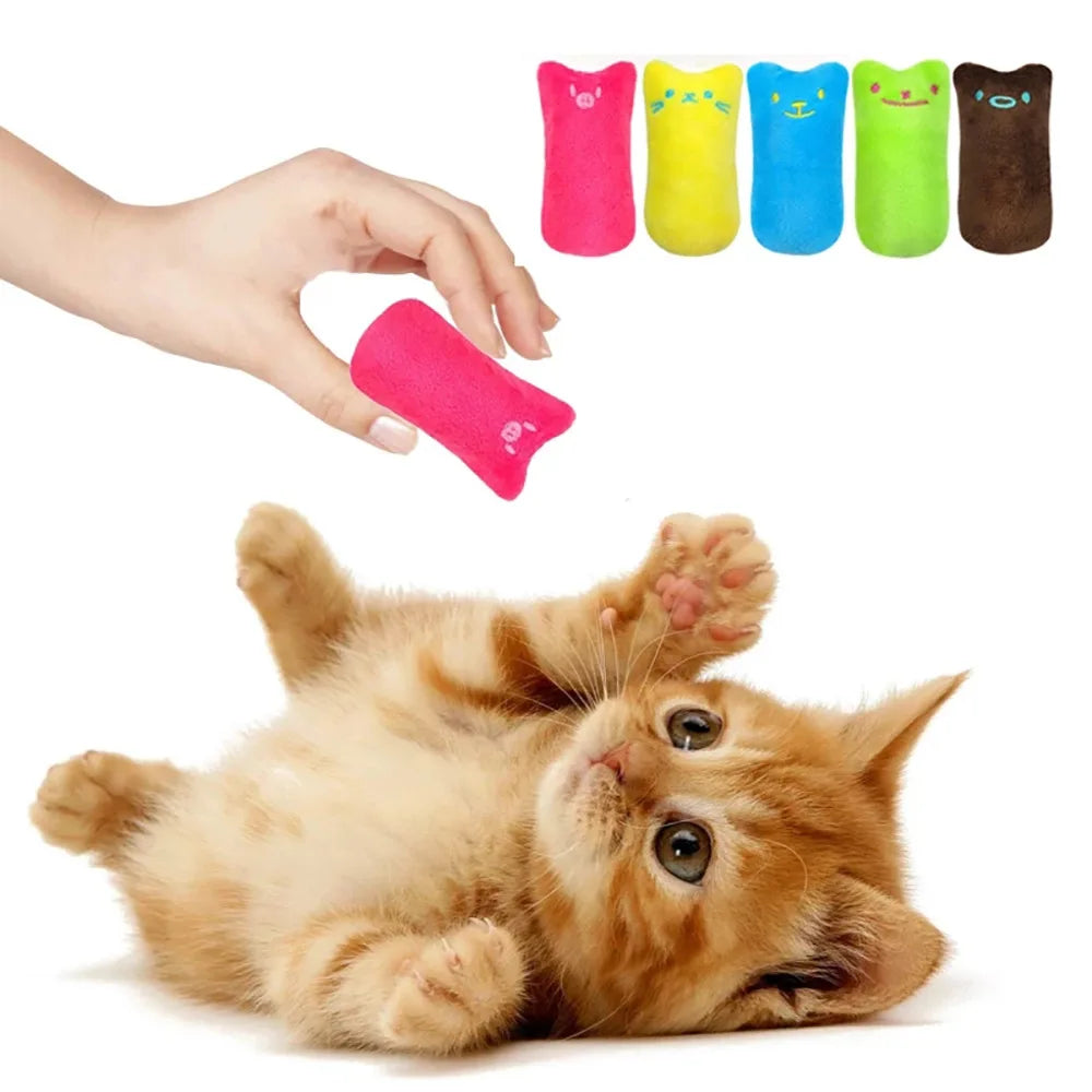 Jouets pour attraper des dents, herbe-aux-chats