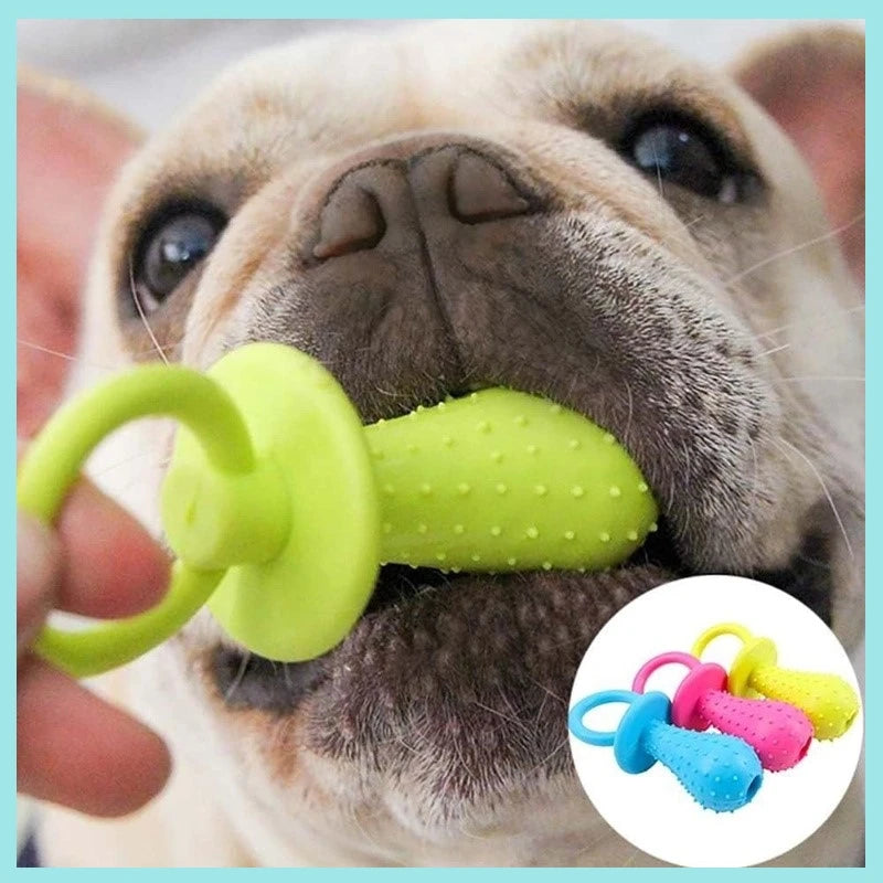 Sucette en caoutchouc pour animaux de compagnie