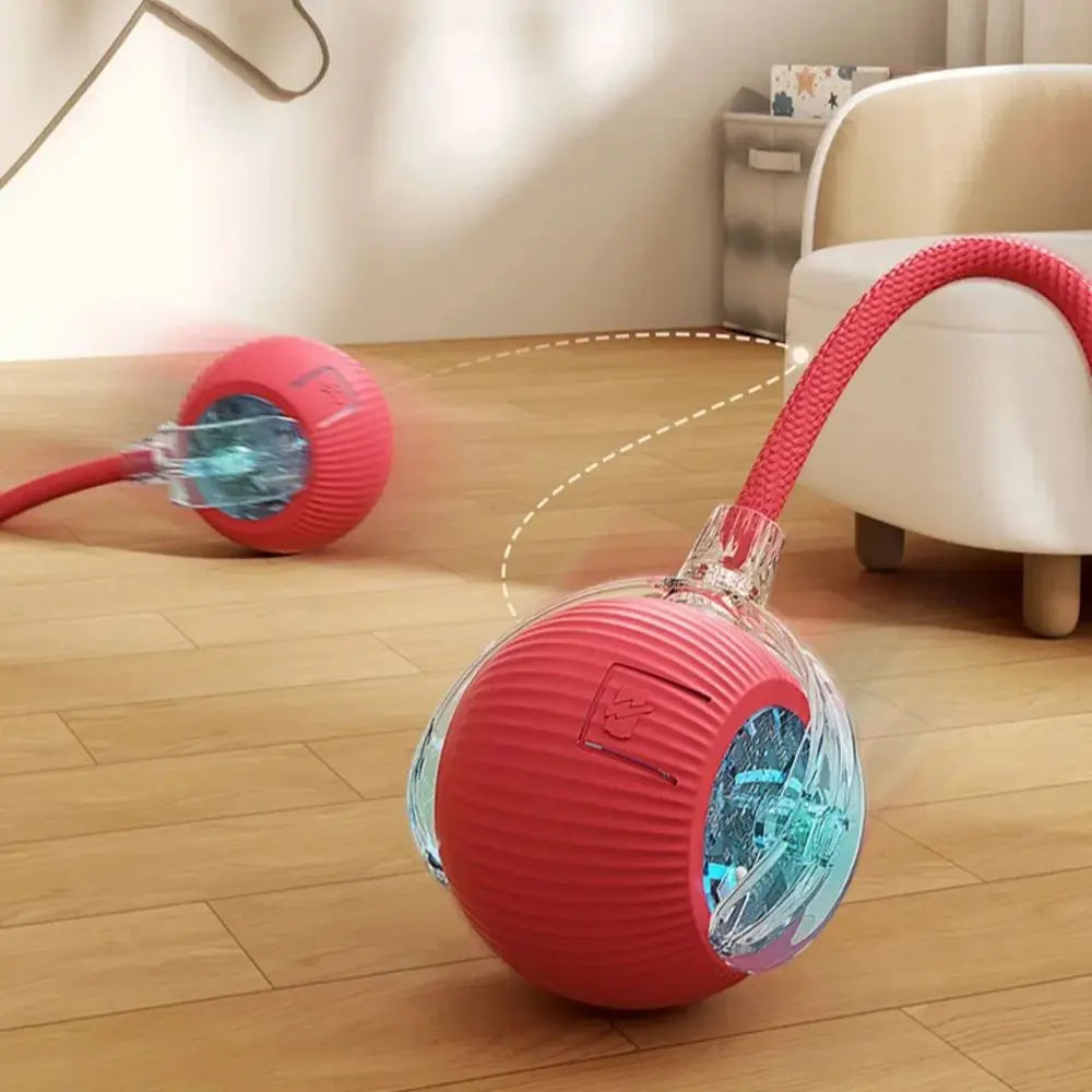 Boule roulante automatique pour chat, fausse queue, électrique, Rechargeable.