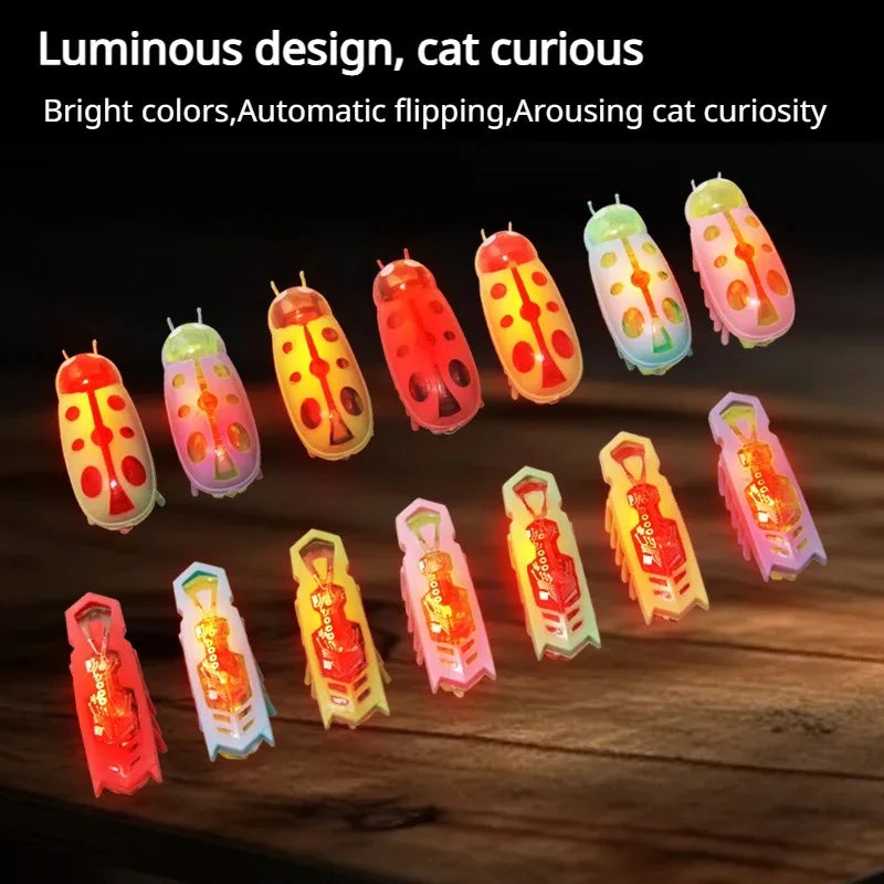 Insecte electrique lumineux pour animaux de compagnie