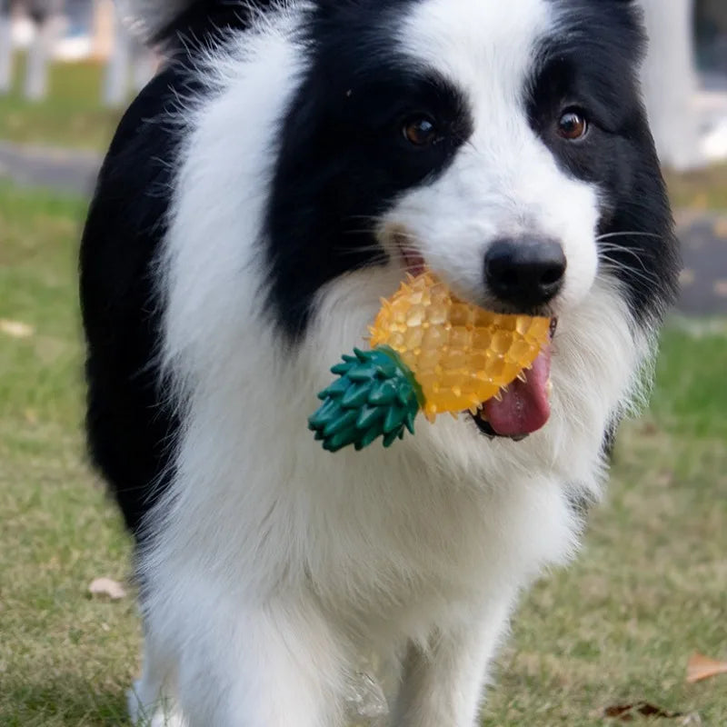 Jouet à mâcher grinçant et résistant aux morsures pour animaux de compagnie