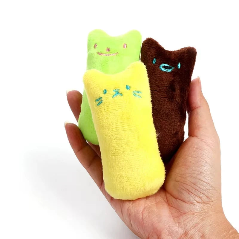 Jouets pour attraper des dents, herbe-aux-chats