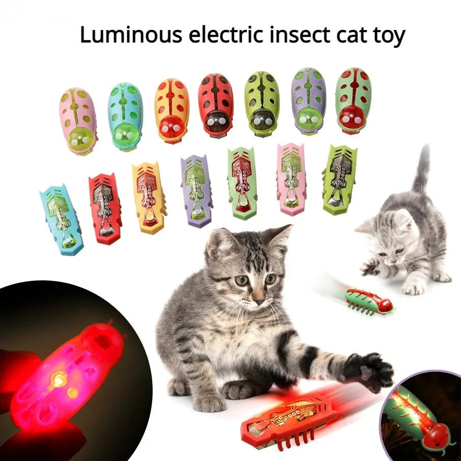 Insecte electrique lumineux pour animaux de compagnie