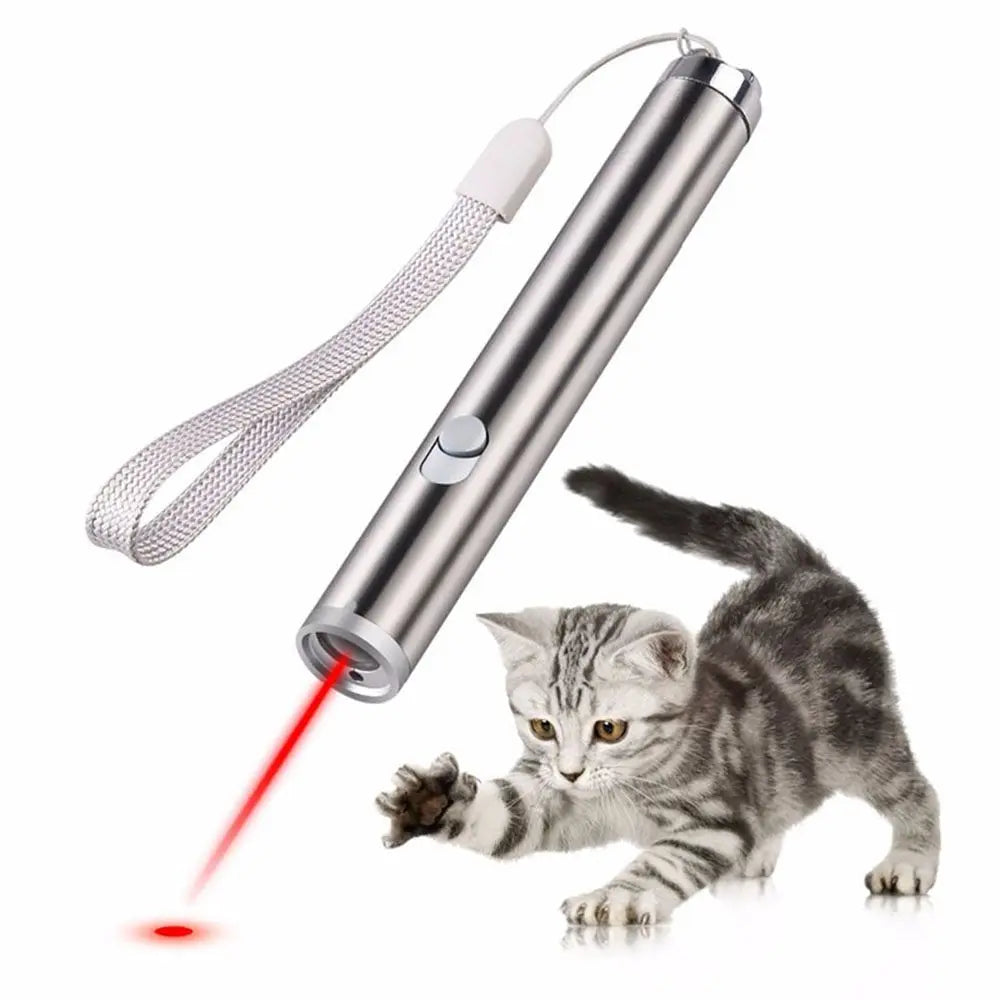 pointeur laser amusant pour animaux de compagnie