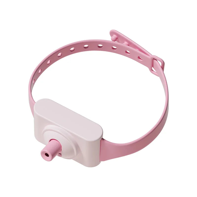 Collier Laser, Rechargeable, activé par le mouvement pour chaton