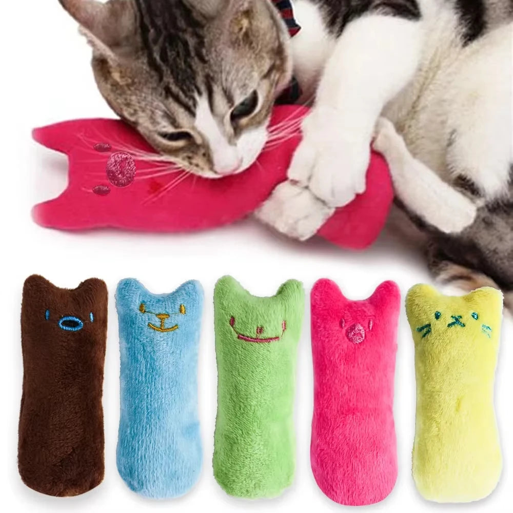 Jouets pour attraper des dents, herbe-aux-chats
