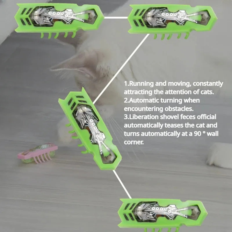 Insecte electrique lumineux pour animaux de compagnie