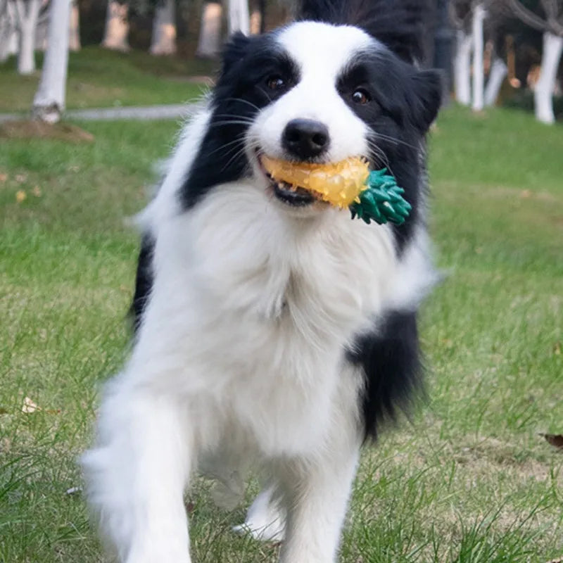 Jouet à mâcher grinçant et résistant aux morsures pour animaux de compagnie