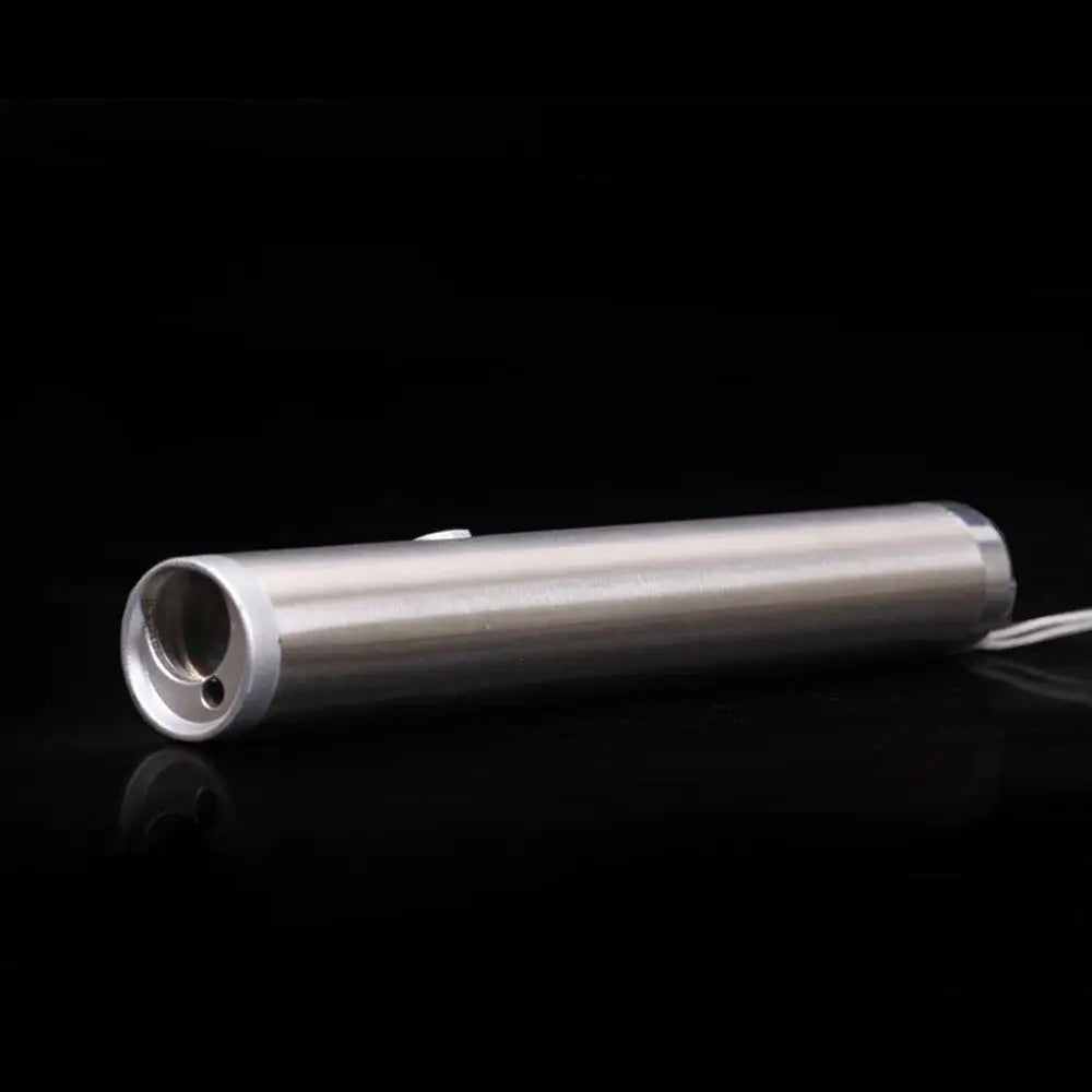 pointeur laser amusant pour animaux de compagnie