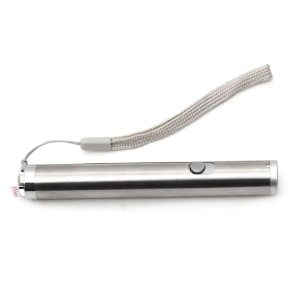 pointeur laser amusant pour animaux de compagnie