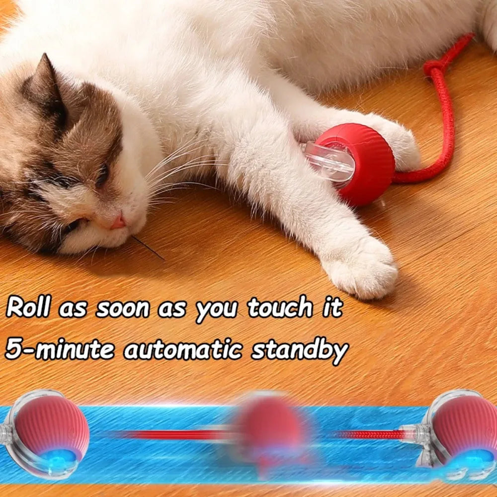 Boule roulante automatique pour chat, fausse queue, électrique, Rechargeable.
