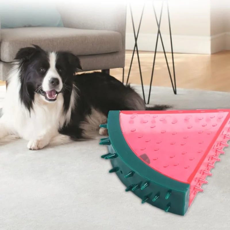 Jouet à mâcher grinçant et résistant aux morsures pour animaux de compagnie