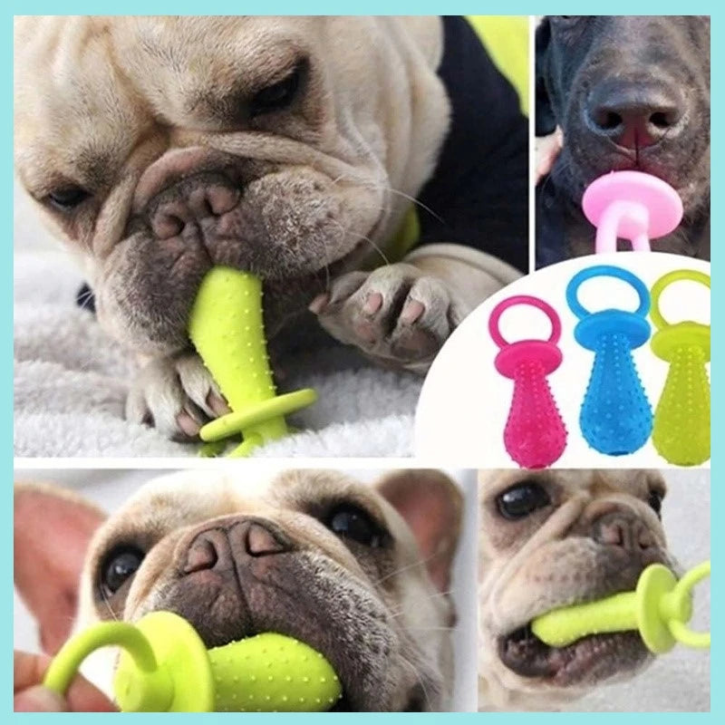 Sucette en caoutchouc pour animaux de compagnie