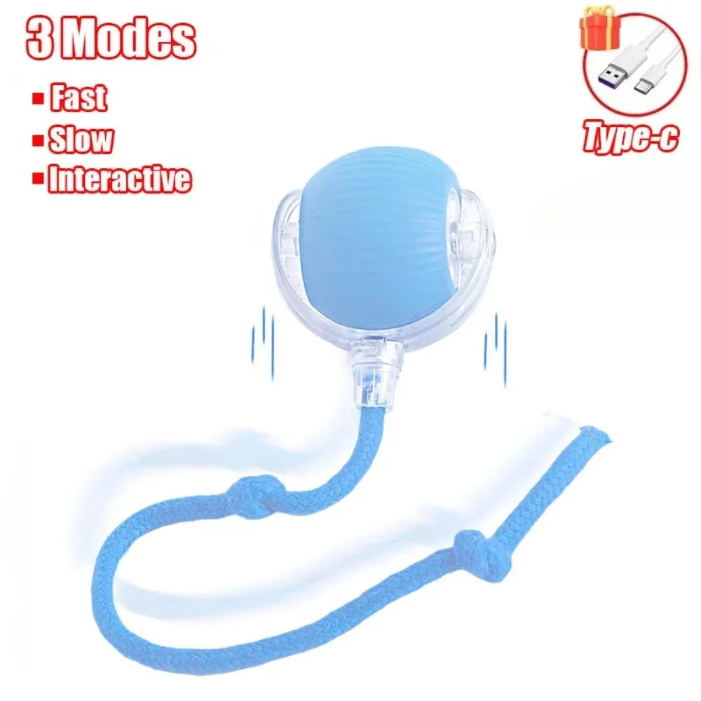 Boule roulante automatique pour chat, fausse queue, électrique, Rechargeable.