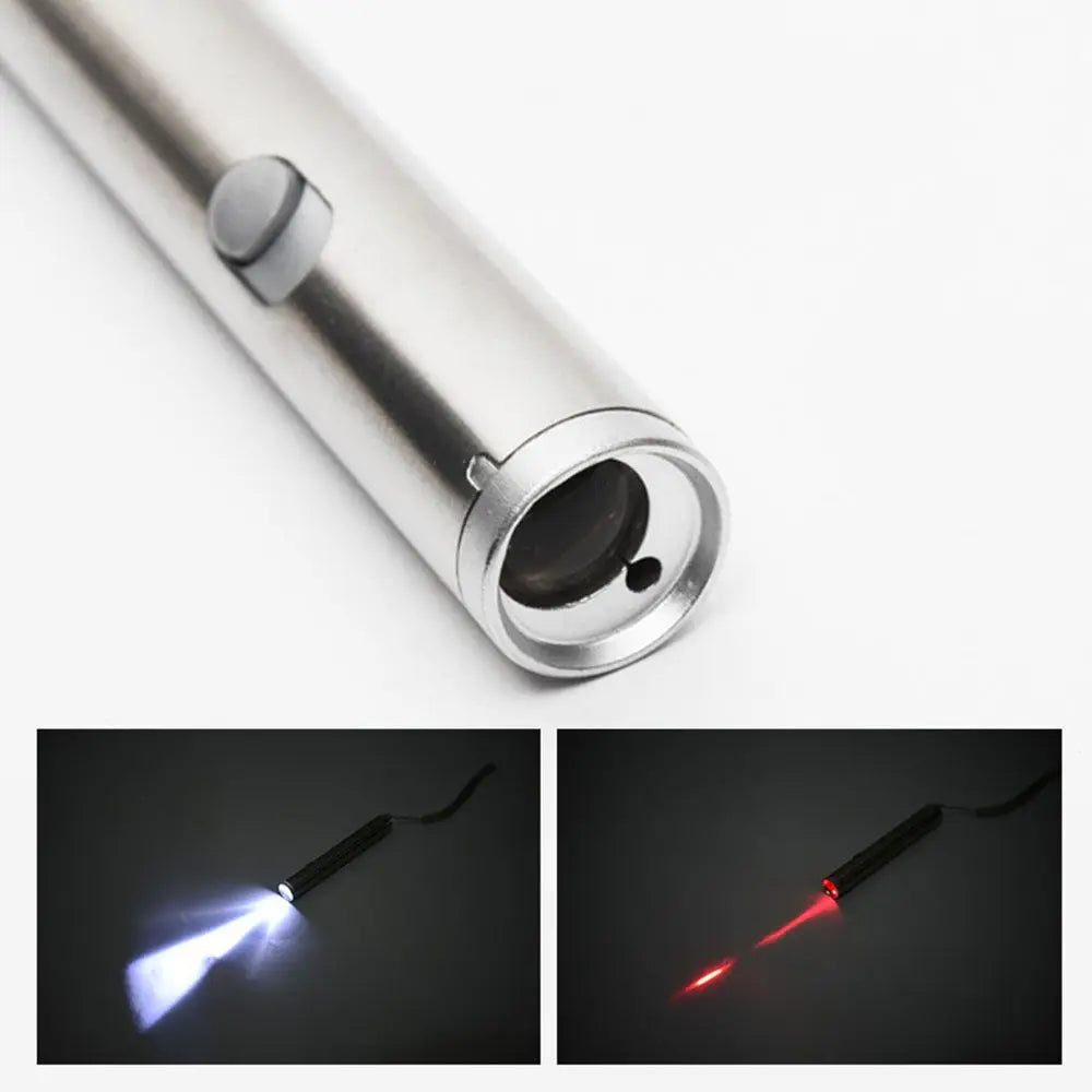 pointeur laser amusant pour animaux de compagnie