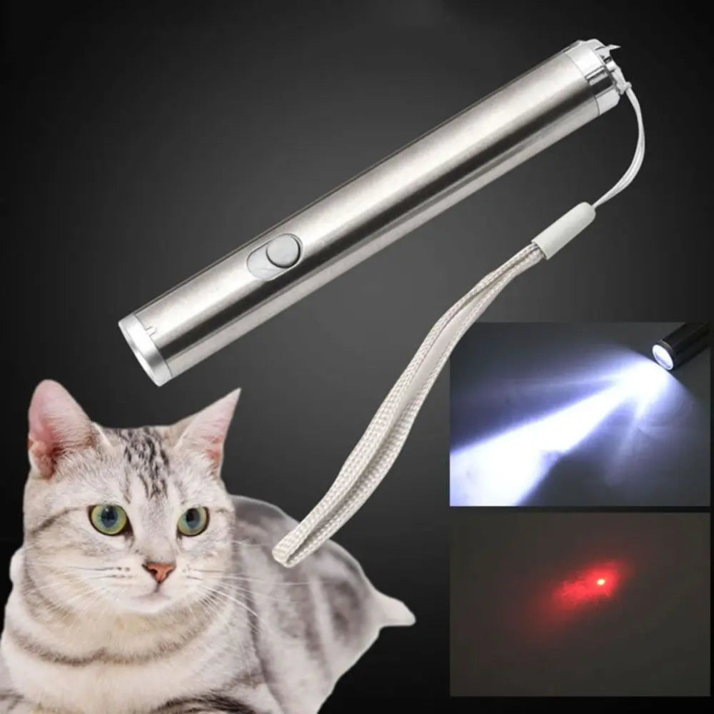 pointeur laser amusant pour animaux de compagnie