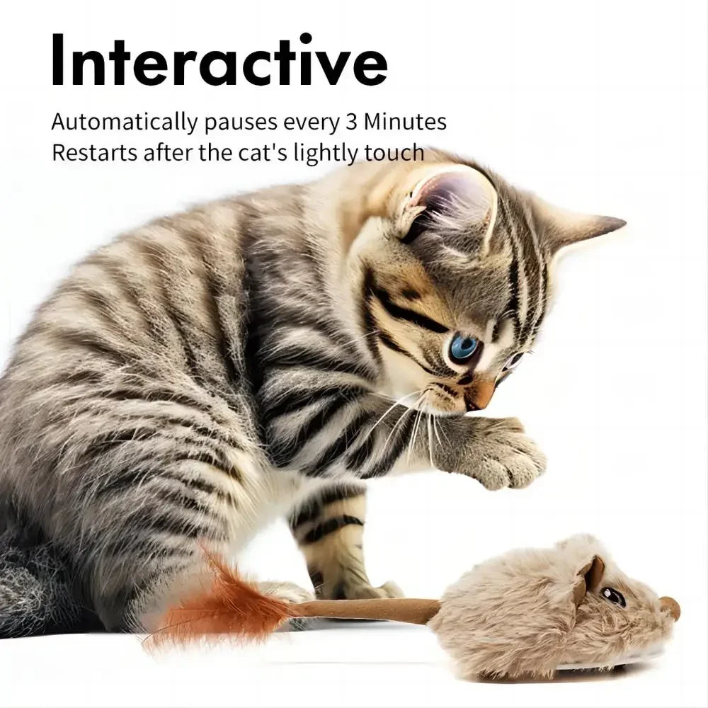 Souris en jouet Mobile Sonore Interactif Rechargeable pour chats