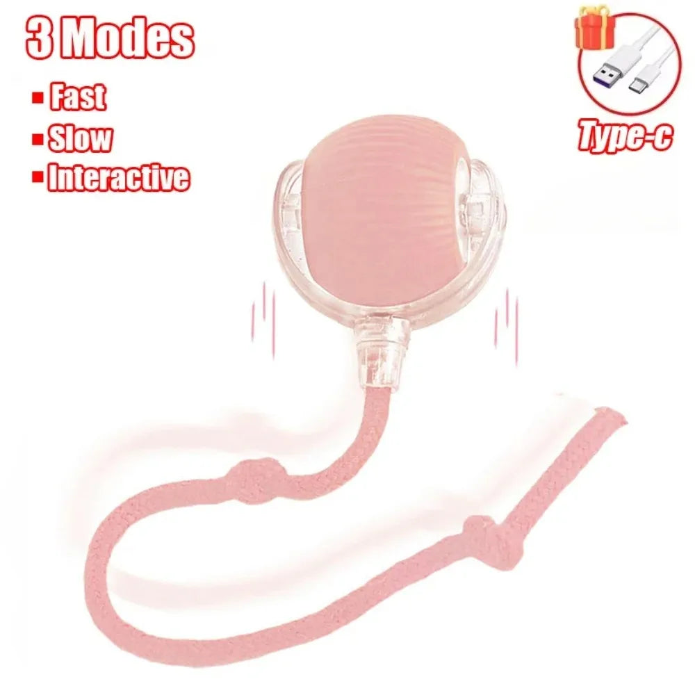 Boule roulante automatique pour chat, fausse queue, électrique, Rechargeable.