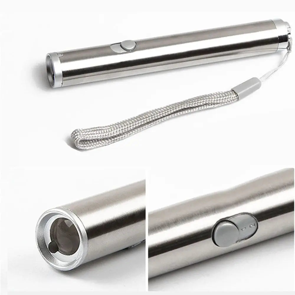 pointeur laser amusant pour animaux de compagnie