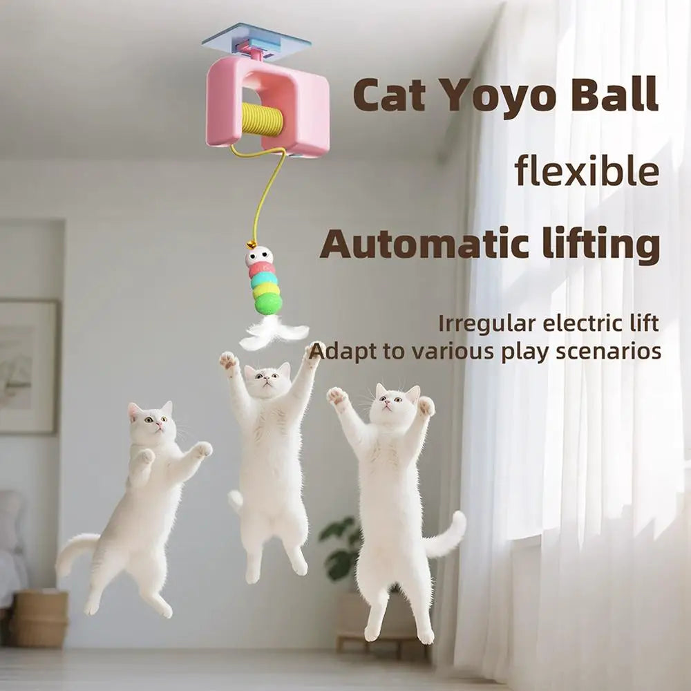 Corde élastique, oiseau volant automatique, jouet anti-Stress électrique pour chats