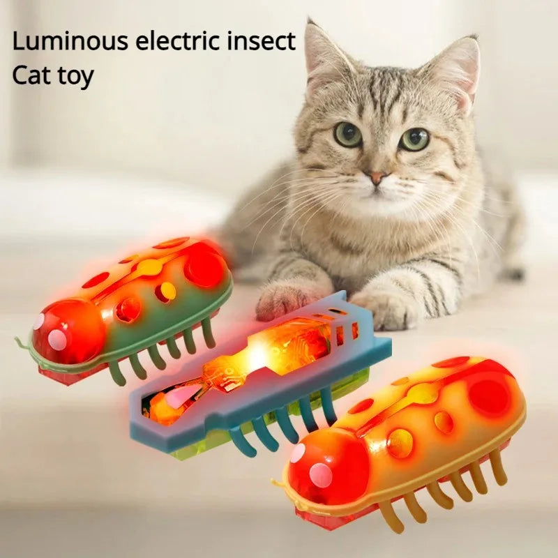 Insecte electrique lumineux pour animaux de compagnie