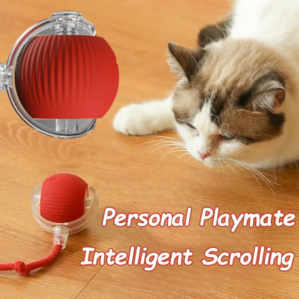 Boule roulante automatique pour chat, fausse queue, électrique, Rechargeable.