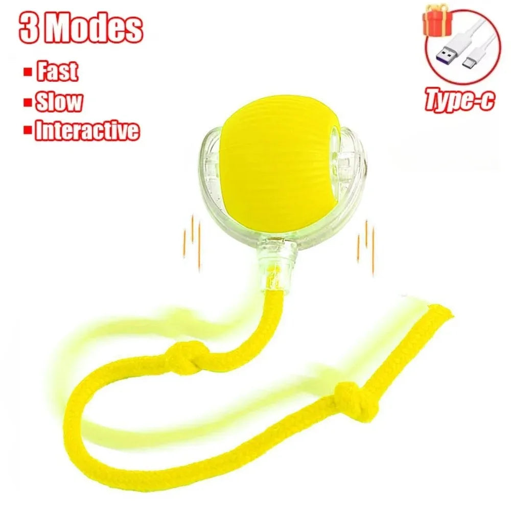 Boule roulante automatique pour chat, fausse queue, électrique, Rechargeable.