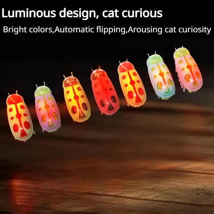 Insecte electrique lumineux pour animaux de compagnie
